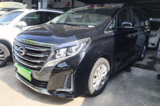 广汽传祺 传祺M8 2020款 领航款 390T 尊享版