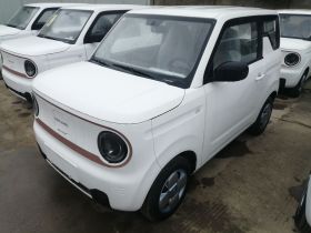 吉利银河 2024款 熊猫mini 200km 耐力熊