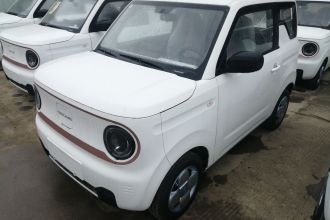 吉利银河 2024款 熊猫mini 200km 耐力熊