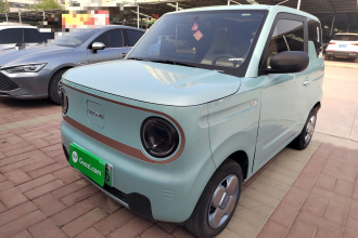 吉利银河 2024款 熊猫mini 200km 耐力熊