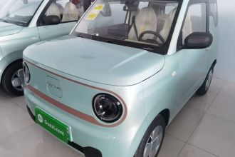 吉利银河 2024款 熊猫mini 200km 耐力熊