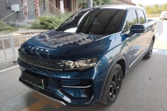 雷达汽车 雷达地平线 2022款 基本型