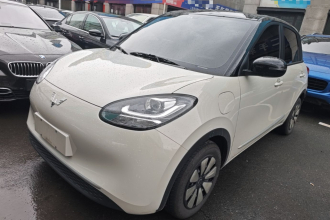 五菱汽车 五菱缤果 2024款 203km 轻享款