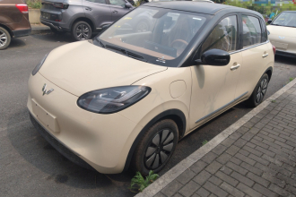 五菱汽车 五菱缤果 2025款 333km 悦享款