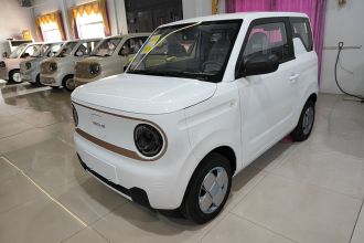吉利银河 2024款 熊猫mini 200km 耐力熊