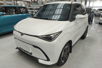 凯翼拾月 2023款 201km 踏浪版