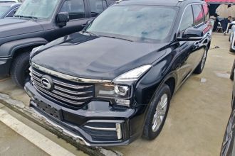 广汽传祺 传祺GS8 2020款 390T 两驱豪华版（七座）