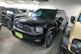 哈弗大狗 PLUS 2023款 1.5T 两驱潮野版Plus