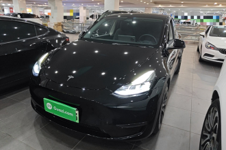 特斯拉 Model Y 2022款 Performance高性能全轮驱动版