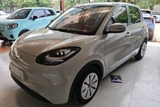 五菱汽车 五菱缤果 2023款 203km 轻享款