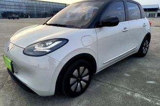 五菱汽车 五菱缤果 2023款 333km 灵犀互联+款