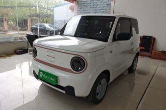 吉利银河 2024款 熊猫mini 200km 耐力熊