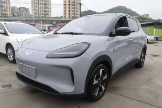 五菱汽车 五菱缤果PLUS 2024款 510km 旗舰版 四座版