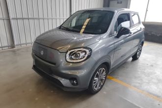 零跑汽车 零跑T03 2021款 400轻享版 磷酸铁锂