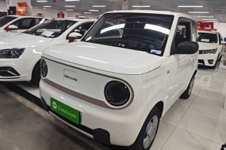 吉利银河 2023款 熊猫mini 200km 耐力熊