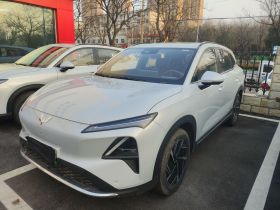 五菱汽车 五菱星光S 2024款 510km 旗舰型