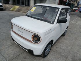 吉利银河 2024款 熊猫mini 200km 耐力熊