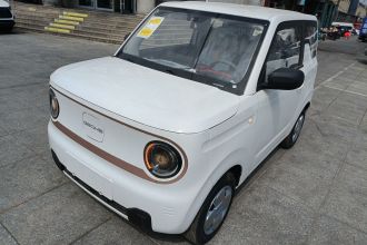 吉利银河 2024款 熊猫mini 200km 耐力熊