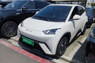 比亚迪 海鸥 2024款 荣耀版 405km 飞翔版