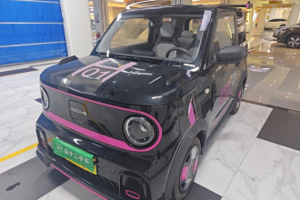 吉利银河 2025款 210km 熊猫卡丁
