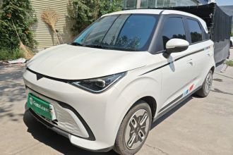 凯翼拾月 2023款 301km 追风版