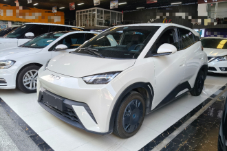 比亚迪 海鸥 2025款 305km 活力版