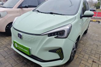 长安欧尚 奔奔E-Star 2020款 心动版 磷酸铁锂（31.95kWh）