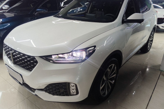 魏牌 VV6 2020款 2.0T 两驱智享+