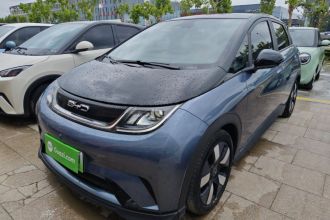 比亚迪 海豚 2023款 401km 骑士版