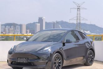 特斯拉 Model Y 2021款 标准续航后驱版