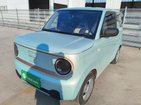 吉利银河 2024款 熊猫mini 200km 耐力熊
