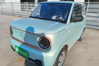 吉利银河 2024款 熊猫mini 200km 耐力熊