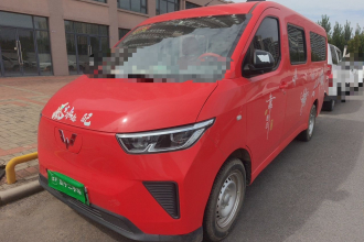 五菱汽车 五菱扬光 2024款 300km 舒适型客车版 75kW