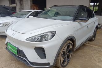 ARCFOX极狐 极狐 阿尔法T(ARCFOX αT) 2021款 653S+ 160kW
