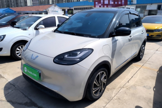 五菱汽车 五菱缤果 2023款 333km 悦享+款