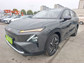 五菱汽车 五菱星光S 2024款 130km 旗舰型