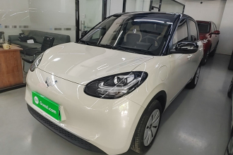 五菱汽车 五菱缤果 2024款 203km 轻享款