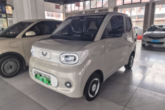 五菱汽车 宏光MINIEV 2024款 第三代 215km 青春版