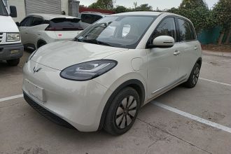 五菱汽车 五菱缤果 2023款 333km 悦享+款