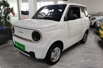 吉利银河 2023款 熊猫mini 200km 耐力熊