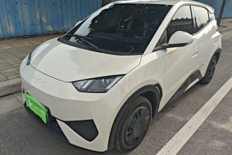 比亚迪 海鸥 2025款 智驾版 305km 活力版
