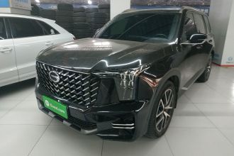 广汽传祺 传祺GS8 2022款 领航系列 2.0TGDI 两驱尊贵版（六座）