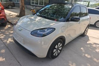 五菱汽车 五菱缤果 2024款 333km 悦享款