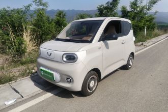 五菱汽车 宏光MINIEV 2024款 第三代 215km 青春版