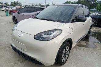 五菱汽车 五菱缤果 2024款 333km 悦享款