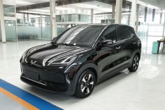 五菱汽车 五菱缤果PLUS 2024款 510km 旗舰版 四座版