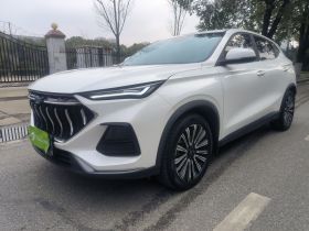 长安欧尚X5 2021款 1.5T DCT尊贵型