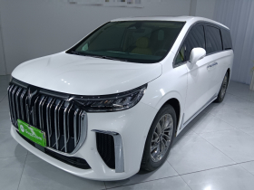 岚图汽车 岚图梦想家 2024款 PHEV 超长续航旗舰版