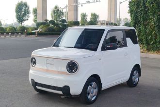 吉利银河 2023款 熊猫mini 200km 耐力熊
