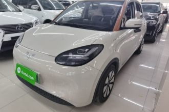 五菱汽车 五菱缤果 2024款 333km 悦享款